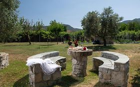 Villa Tsitreli