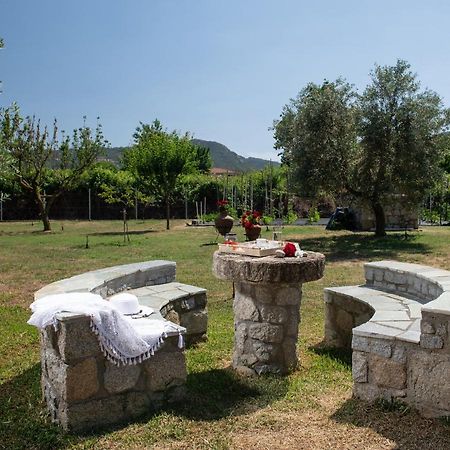 Villa Tsitreli Συκιά Εξωτερικό φωτογραφία