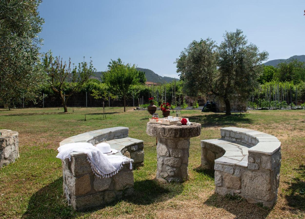 Villa Tsitreli Συκιά Εξωτερικό φωτογραφία