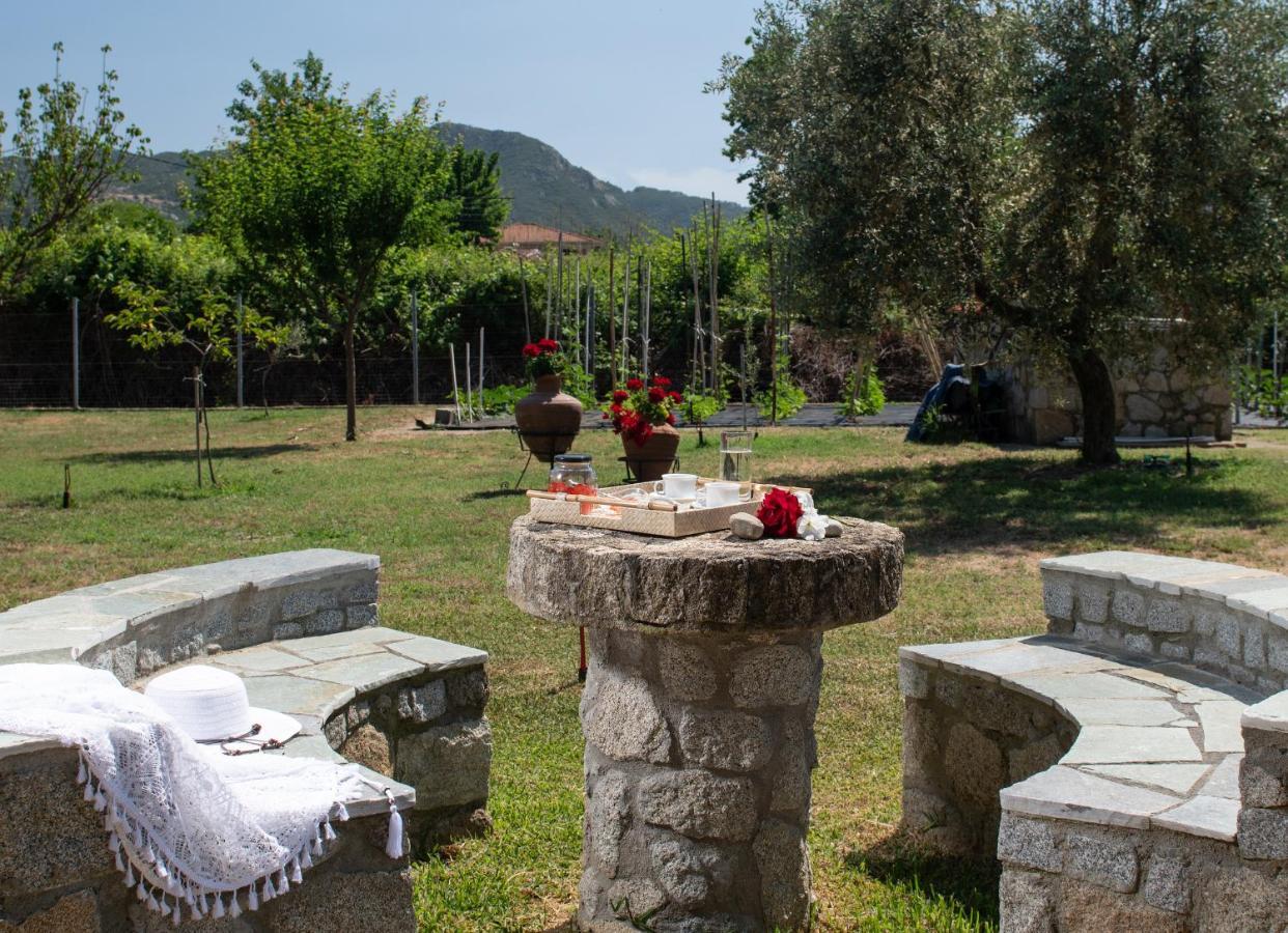 Villa Tsitreli Συκιά Εξωτερικό φωτογραφία