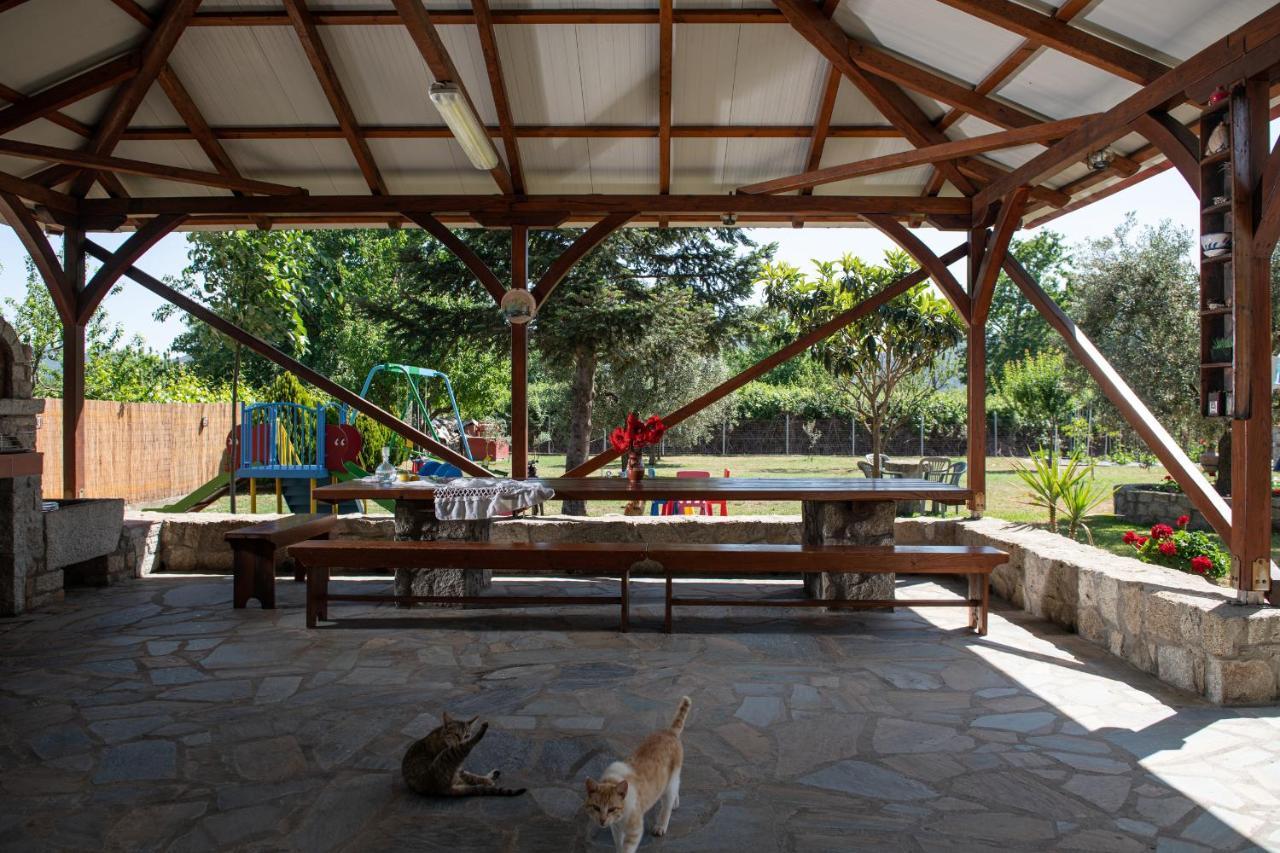 Villa Tsitreli Συκιά Εξωτερικό φωτογραφία