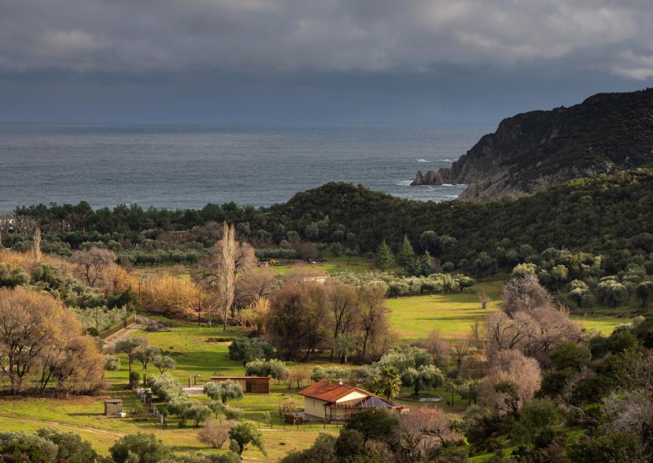 Villa Tsitreli Συκιά Εξωτερικό φωτογραφία